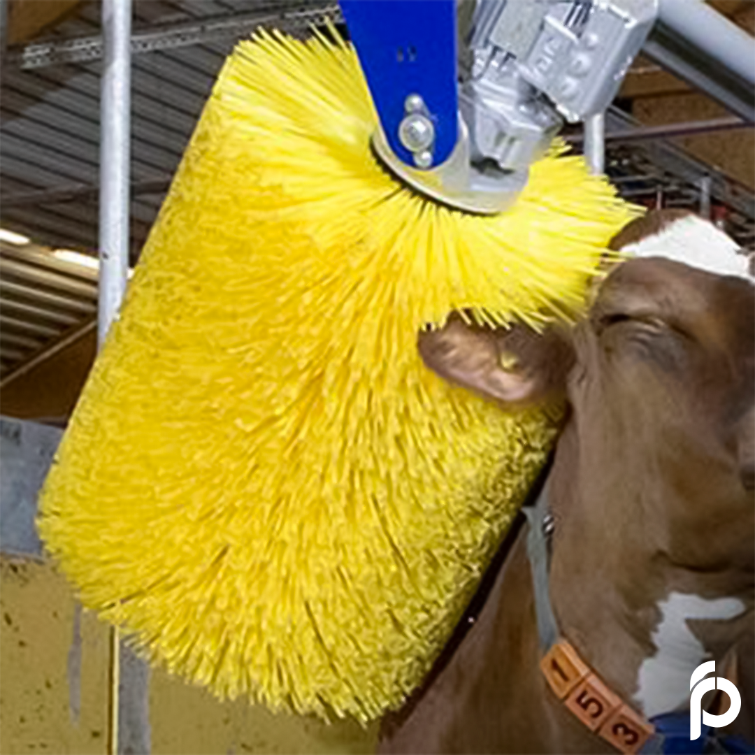 1.4.3 Massageador Rotativa Coça-Gado